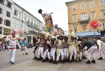 A parade of Carnivals!!!