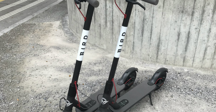 Circ scooter